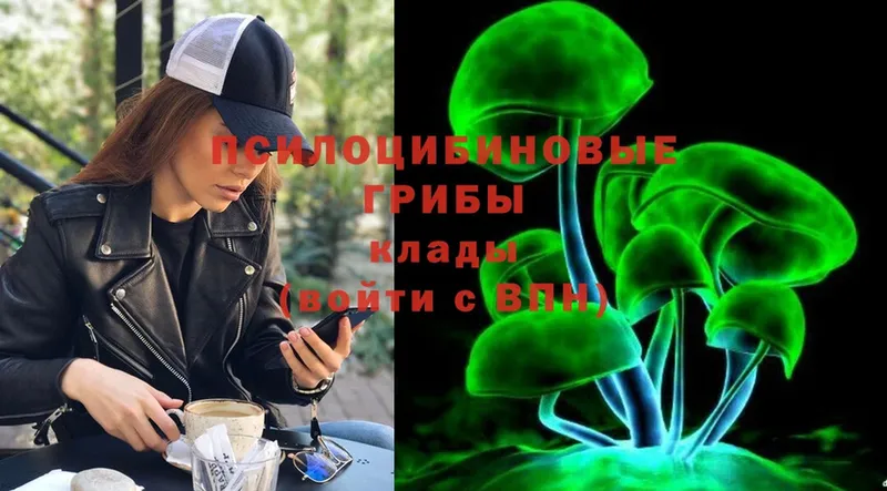 KRAKEN ССЫЛКА  где найти наркотики  Белый  Галлюциногенные грибы MAGIC MUSHROOMS 